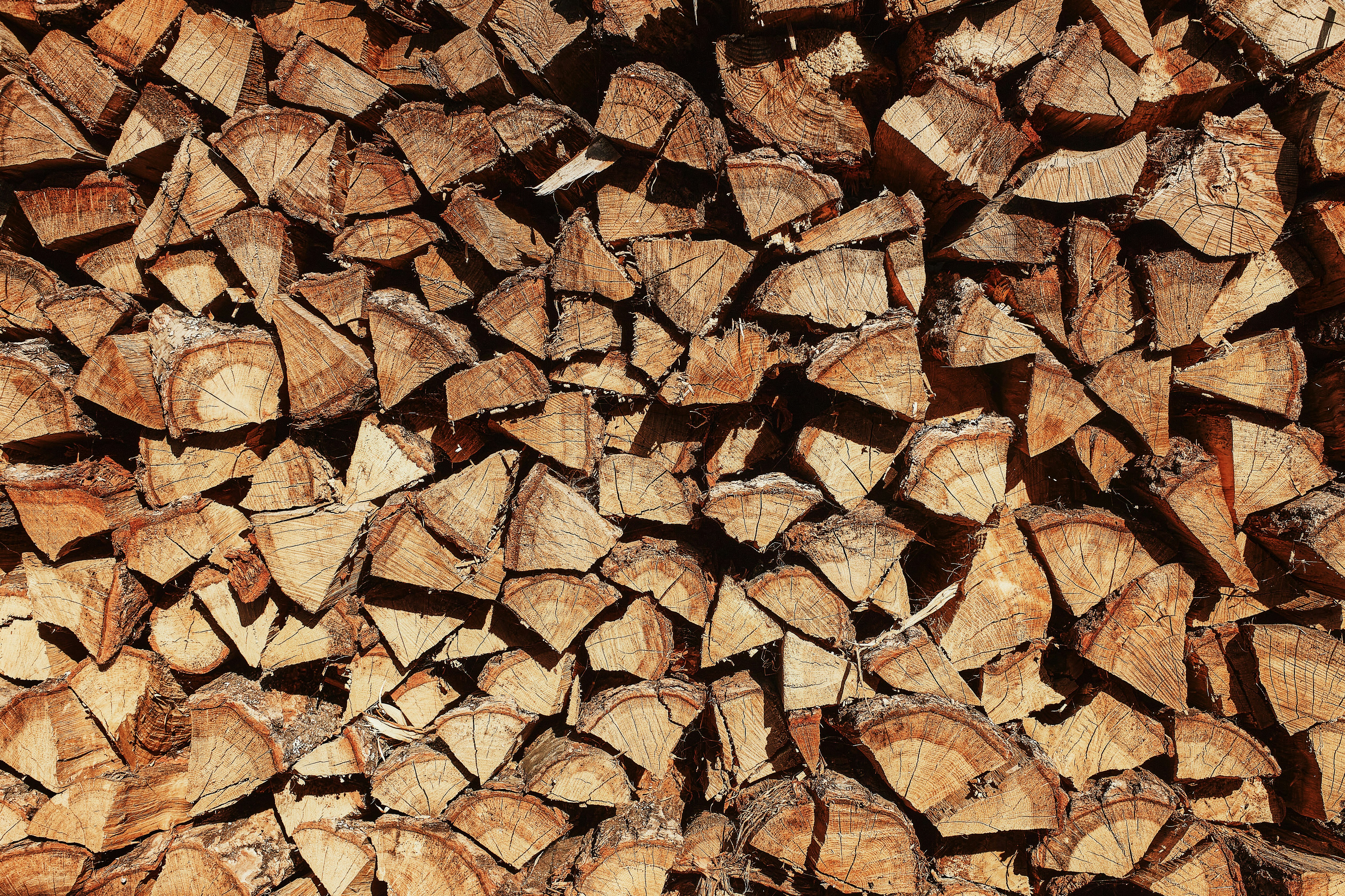 brown and black firewood lot